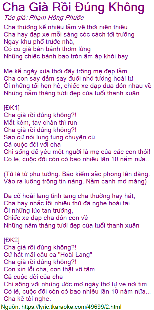 Cha già rồi đúng không lyric
