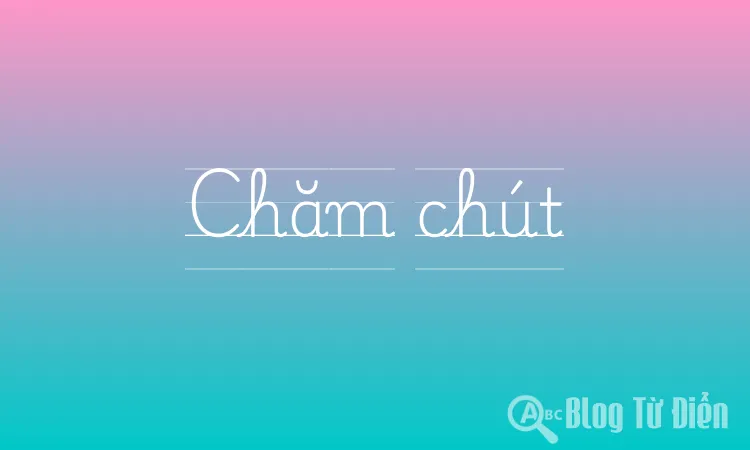 Chăm chút là gì?