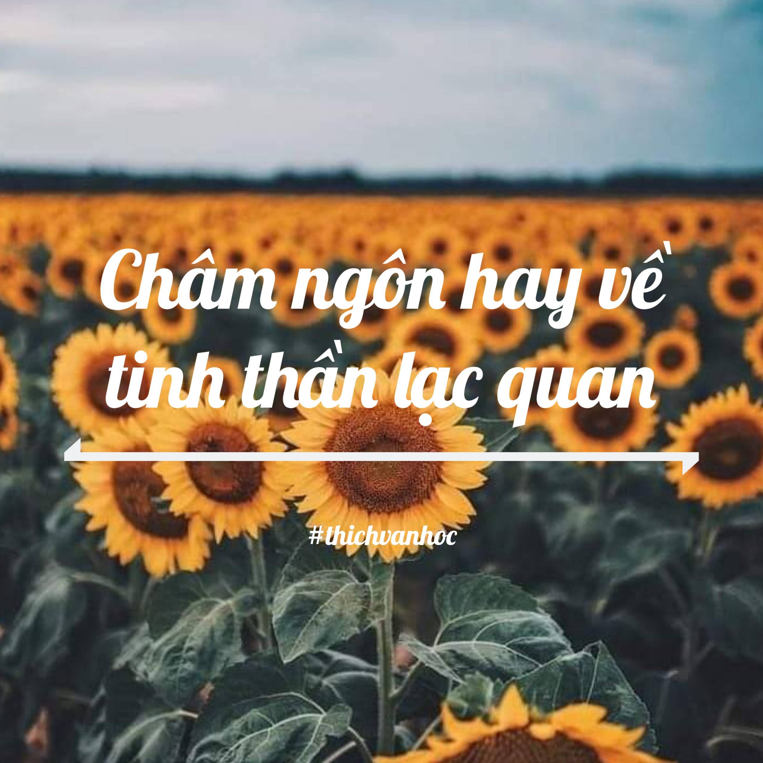 Châm Ngôn Sống Lạc Quan:  Tìm thấy Ánh Sáng Trong Mọi Hoàn Cảnh