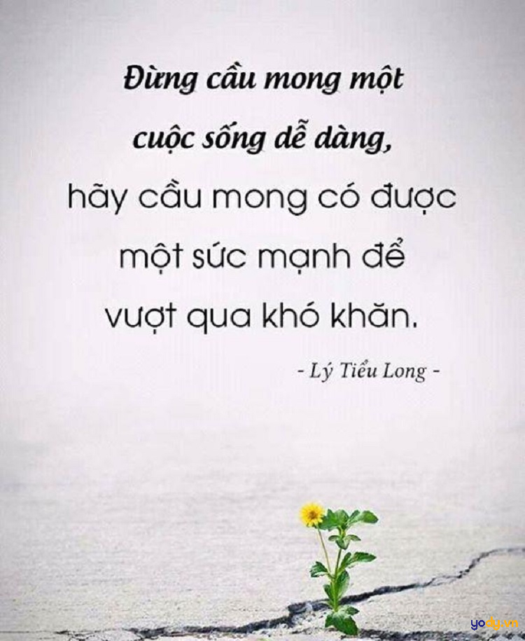 Những Câu Châm Ngôn Hay Về Cuộc Sống, Tình Yêu Và Thành Công Gallery 1