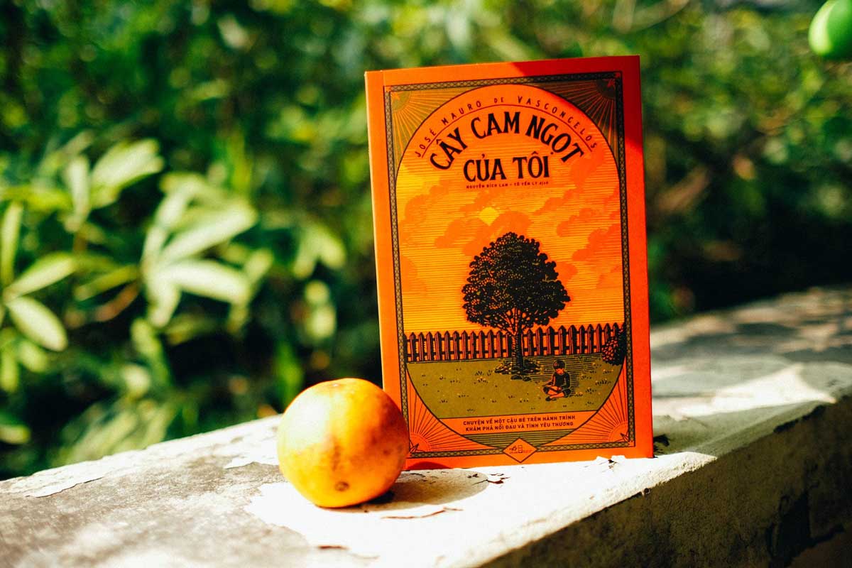 Cây Cam Ngọt Của Tôi: Bí quyết chăm sóc và thu hoạch quả ngọt Gallery 1