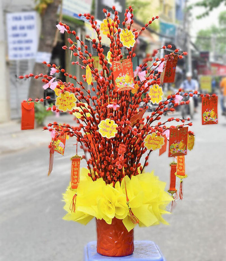 Chậu Nụ Tầm Xuân: Chọn Mua Và Chăm Sóc Đúng Cách Gallery 2