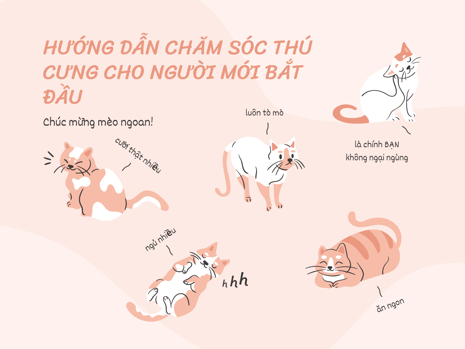 Thú cưng của tôi: Hướng dẫn chăm sóc và những điều cần biết Gallery 2
