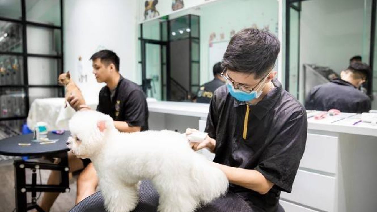 Nhóm Thú Phu Của Ta Gallery 1