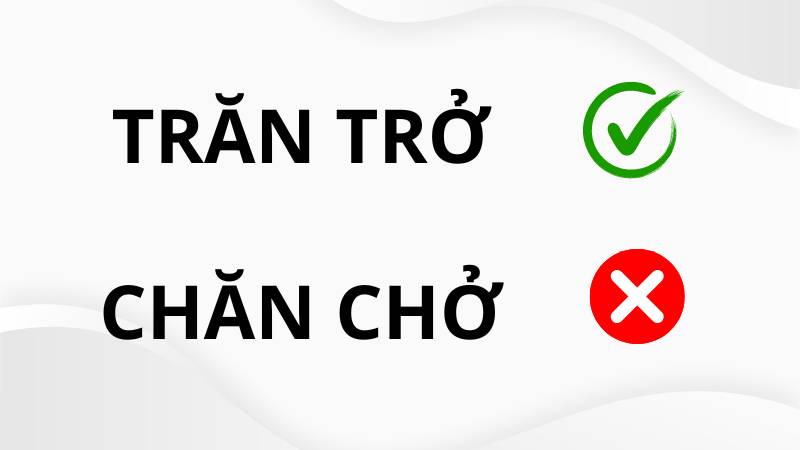 Chăn chở hay trăn trở?