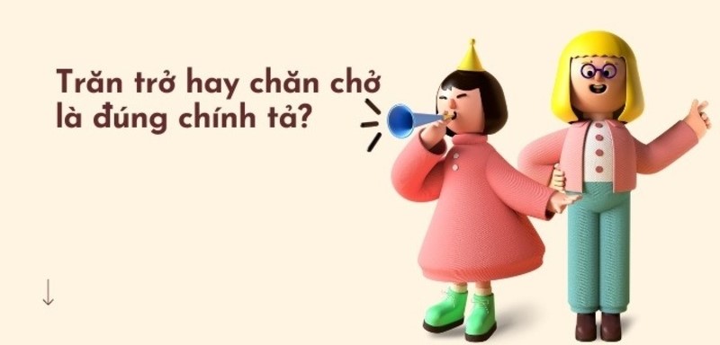 Chăn chở hay trăn trở? Gallery 2