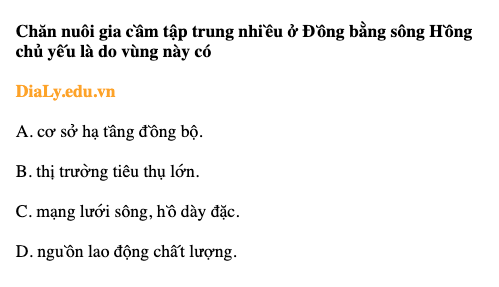 Chăn nuôi gia cầm tập trung ở Đồng bằng sông Hồng chủ yếu là do vùng này có gì?