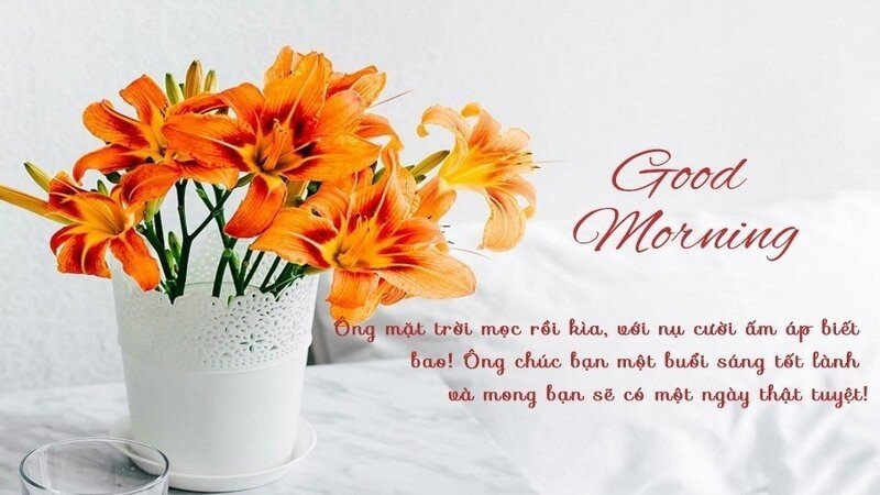 Chào buổi sáng đẹp trời!
