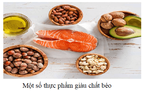 Chất béo có ở đâu?