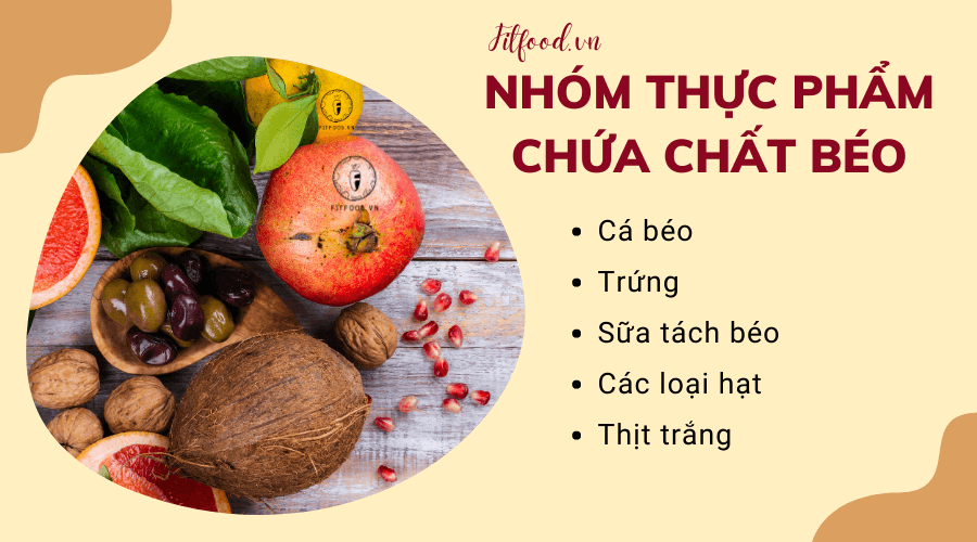 Chất béo gồm những gì?