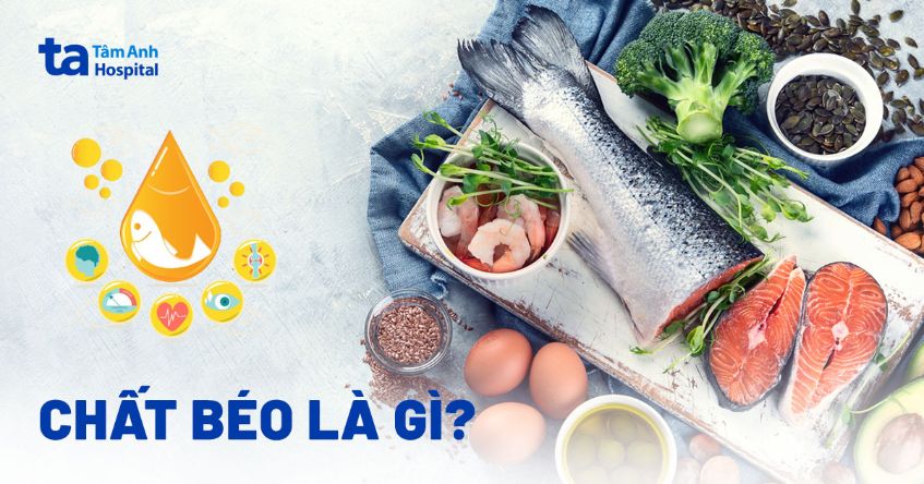 Chất béo là gì?