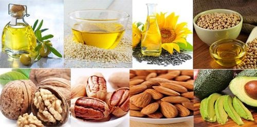 Chất béo thực vật gồm những gì?