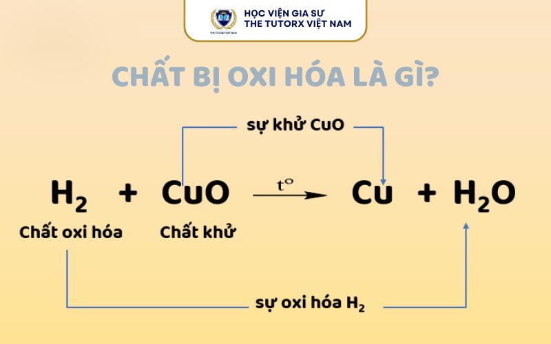 Chất bị oxi hóa là gì?