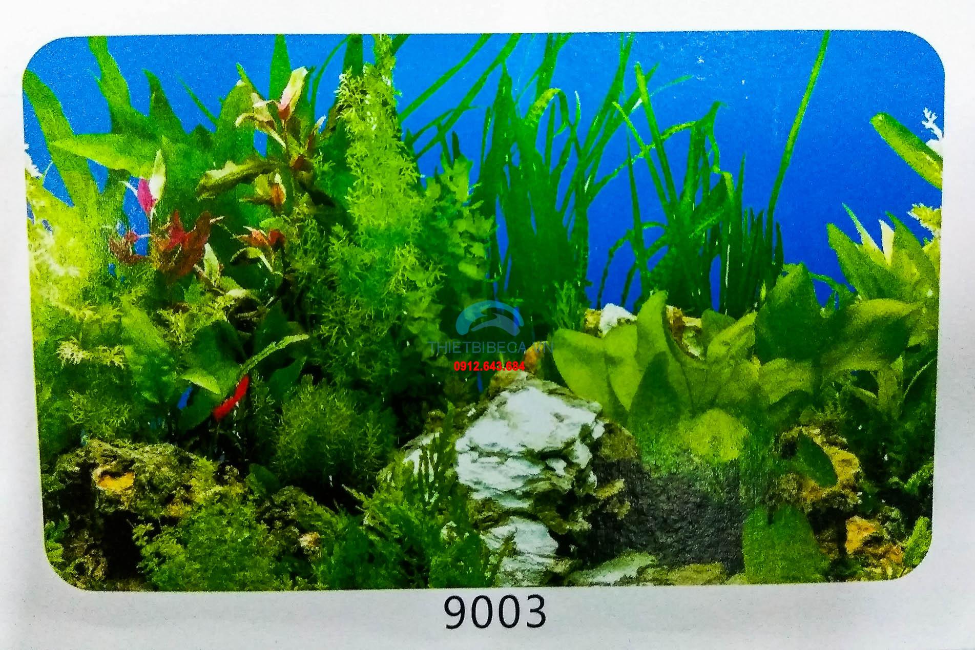 Tranh Dán Bể Cá Đẹp: Tạo Điểm Nhấn Thu Hút Cho Không Gian Nhà Bạn Gallery 2
