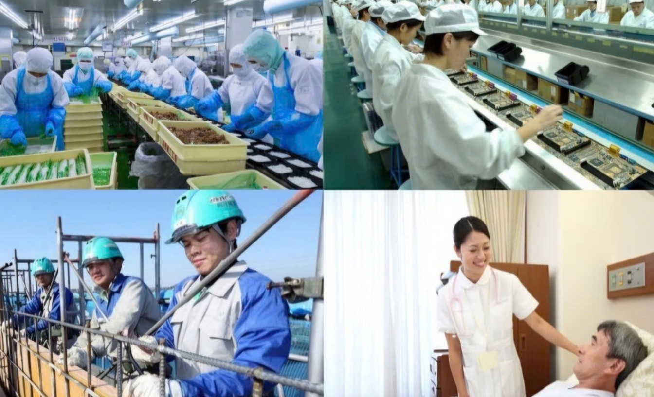 Chất lượng nguồn lao động của nước ta ngày càng được nâng cao chủ yếu do