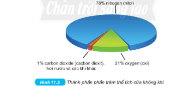 Chất nào chiếm tỉ lệ thể tích lớn nhất trong không khí? Gallery 2