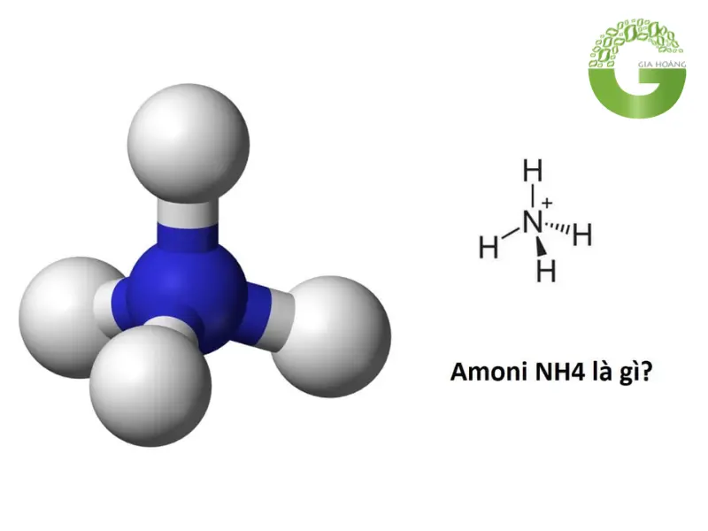 Chất nào dưới đây là muối amoni?