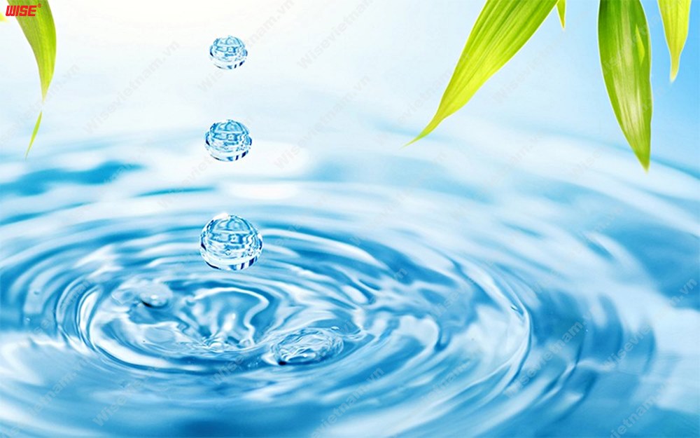 Chất Tinh Khiết Có Tính Chất Gì?