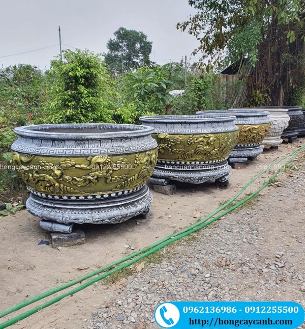 Chậu Cảnh Xi Măng Đẹp