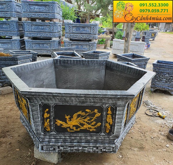 Chậu Cây Cảnh Loại To: Lựa Chọn Hoàn Hảo Cho Không Gian Xanh Lớn