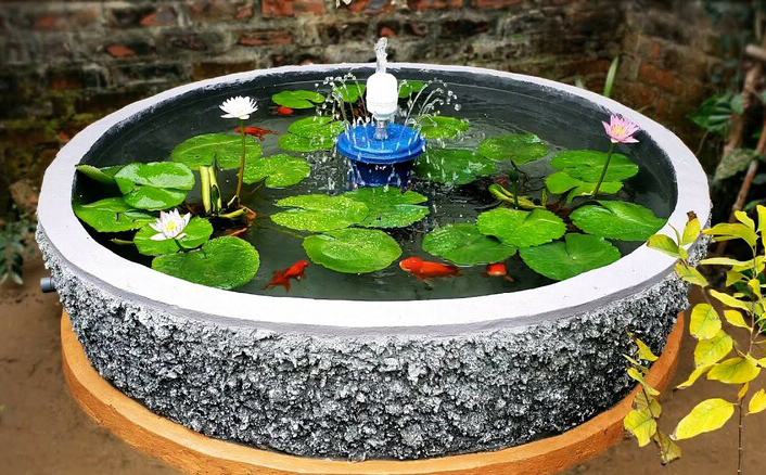 Chậu Cây Nuôi Cá: Giải Pháp Tạo Không Gian Xanh Mát Và Thư Giãn