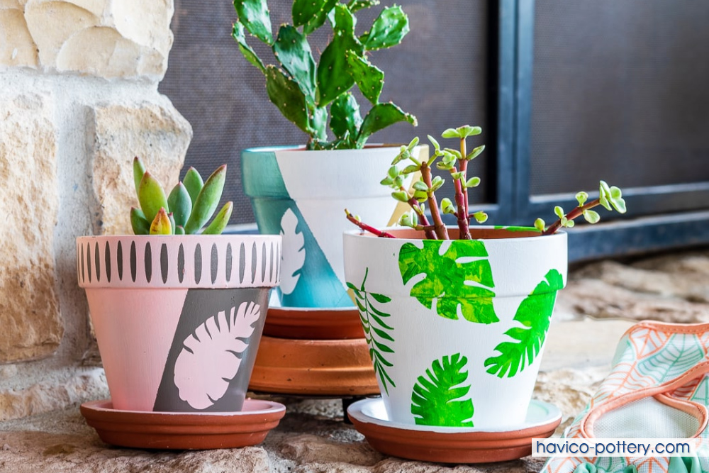 Mẫu Chậu Sứ Đẹp: Khám Phá Những Thiết Kế Tinh Tế Cho Không Gian Xanh Của Bạn Gallery 1