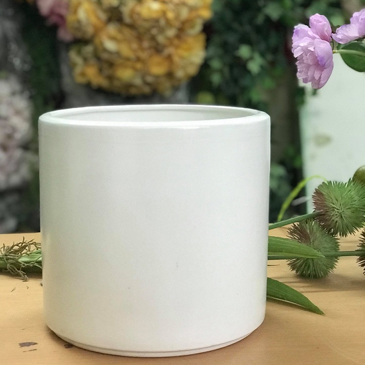 Chậu Sứ Trắng Tròn: Sự Lựa Chọn Hoàn Hảo Cho Không Gian Xanh Của Bạn