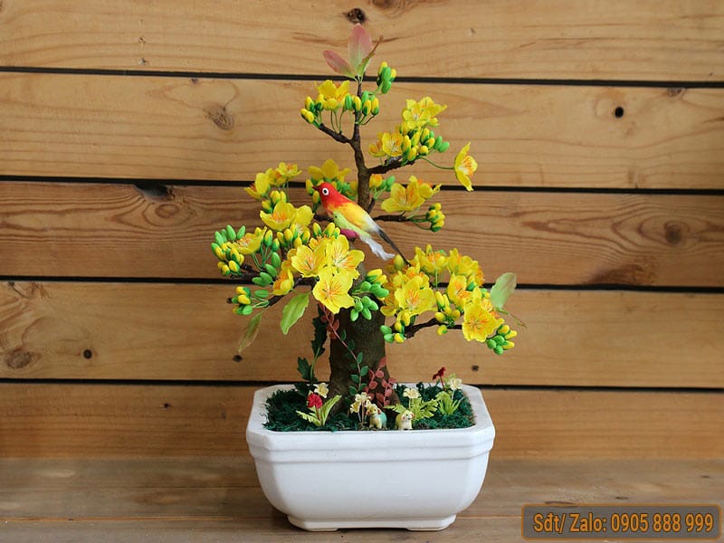 Chậu Trồng Mai Vàng: Lựa Chọn Hoàn Hảo Cho Cây Mai Của Bạn