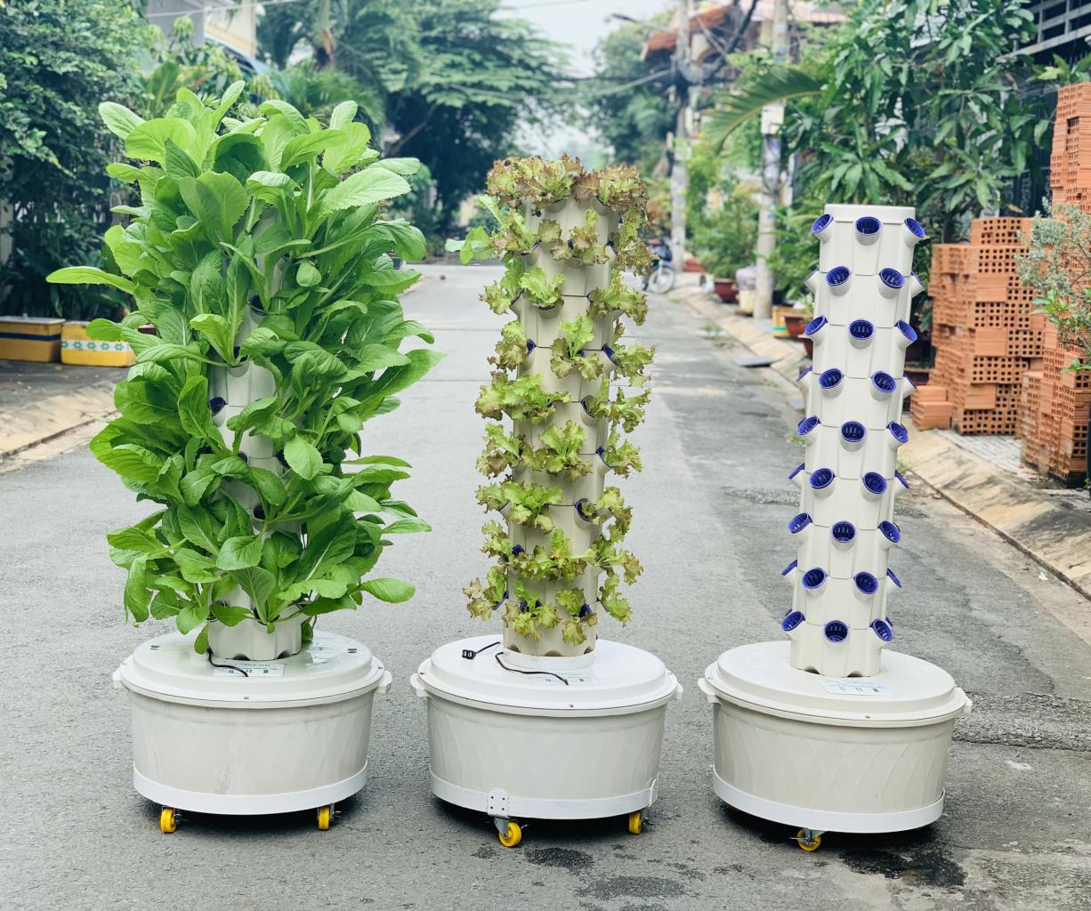 Chậu Trồng Thủy Canh: Giải Pháp Trồng Trọt Hiện Đại và Tiết Kiệm