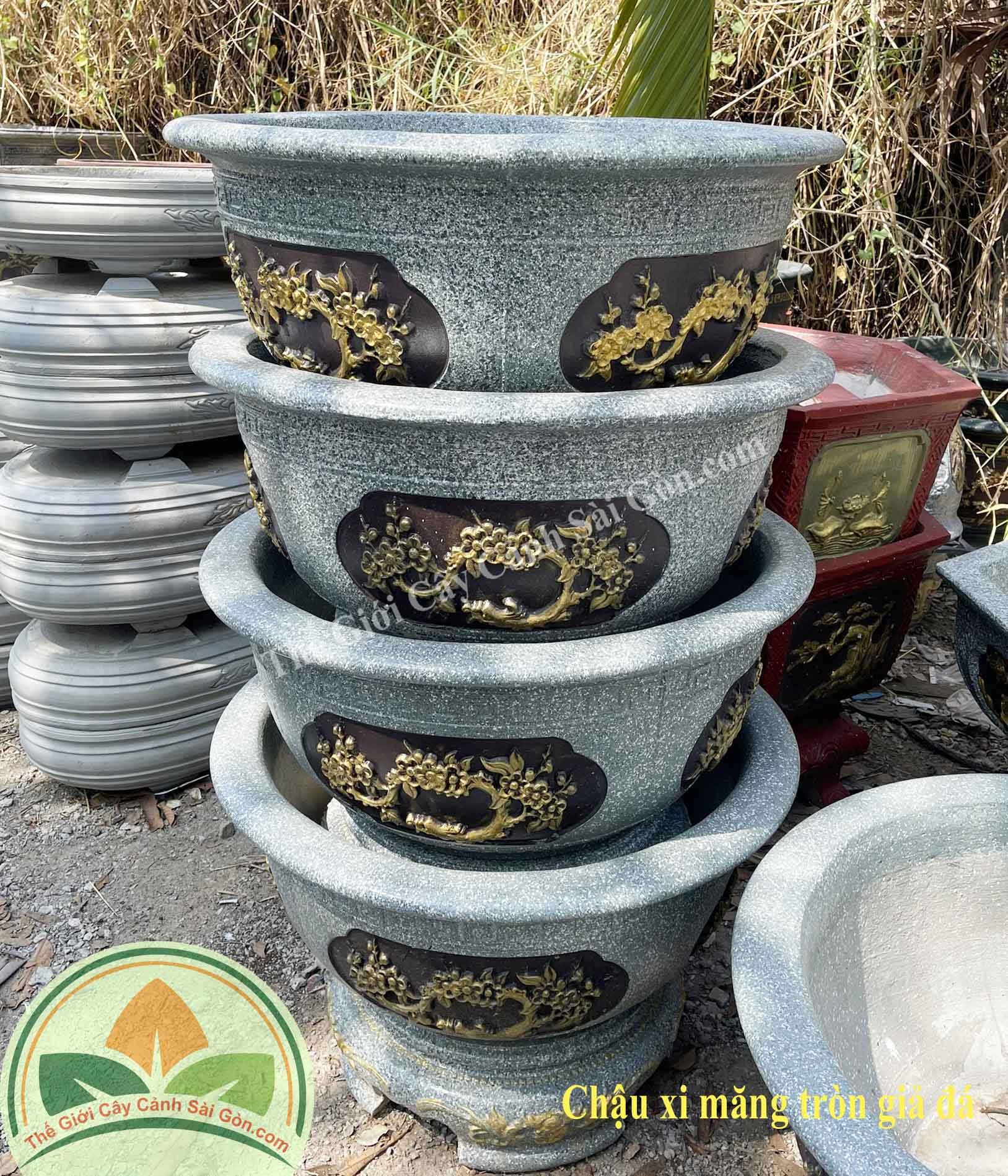 Chậu Xi Măng Giả Đá - Giải Pháp Trang Trí Tiện Lợi và Đẹp Mắt