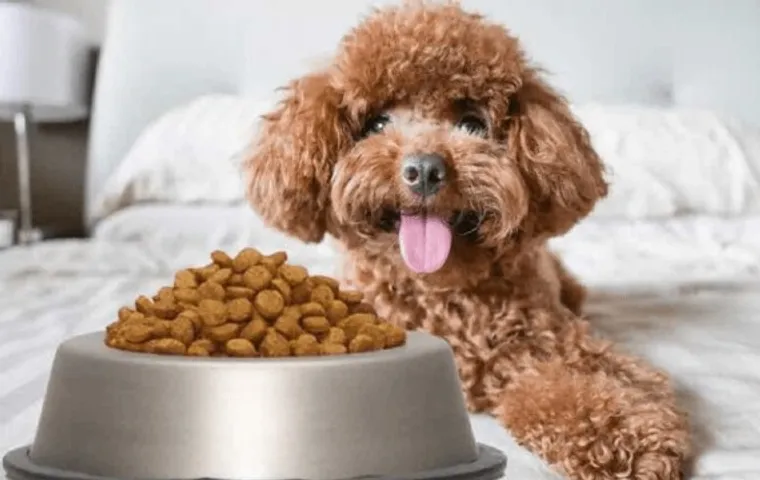 Cách Nấu Thức Ăn Cho Chó Poodle Gallery 1
