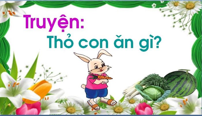 Thỏ con ăn gì? Gallery 1