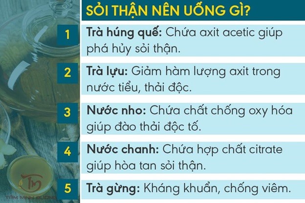 Vôi Thận Nên Ăn Gì? Gallery 1