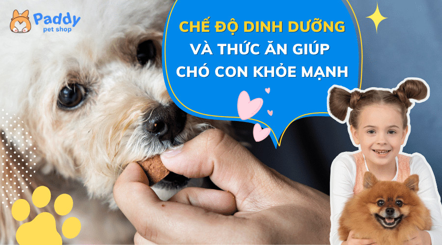 Chăm sóc chó con: Hướng dẫn toàn diện cho người nuôi chó lần đầu Gallery 1