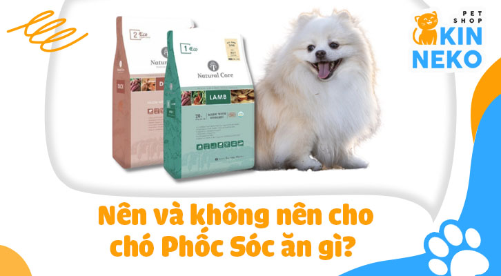 Cách Chăm Sóc Chó Phốc Sóc Gallery 1