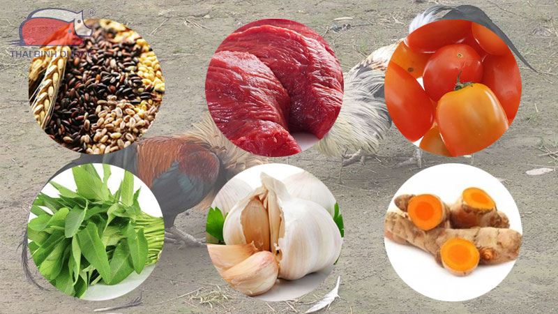Cách Lên Cựa Gà Hiệu Quả Nhất Gallery 1
