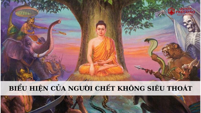 Chết đuối có siêu thoát được không?