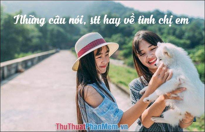 Thơ về chị em hài hước Gallery 1