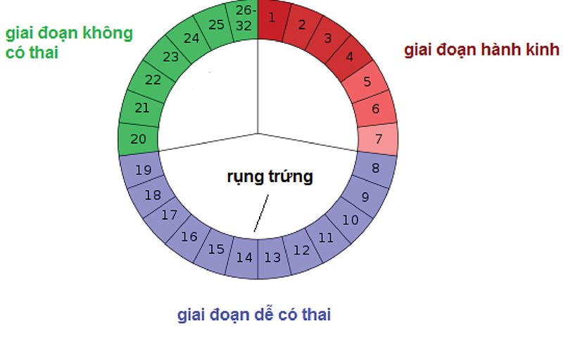 Chị Nguyệt "ghé thăm" là gì? Gallery 2