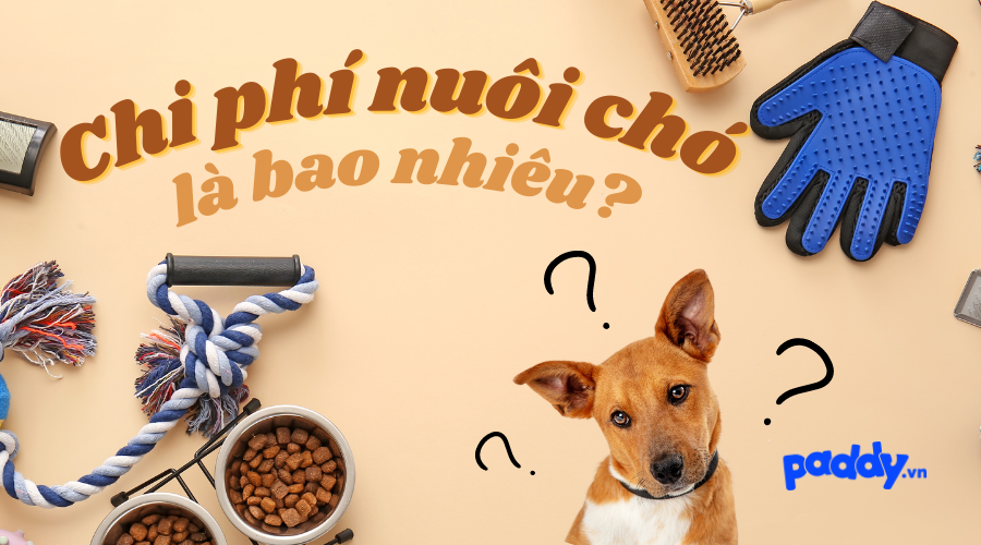 Kiêng Nuôi 3 Con Chó: Sự Thật Và Lời Giải Thích Gallery 1