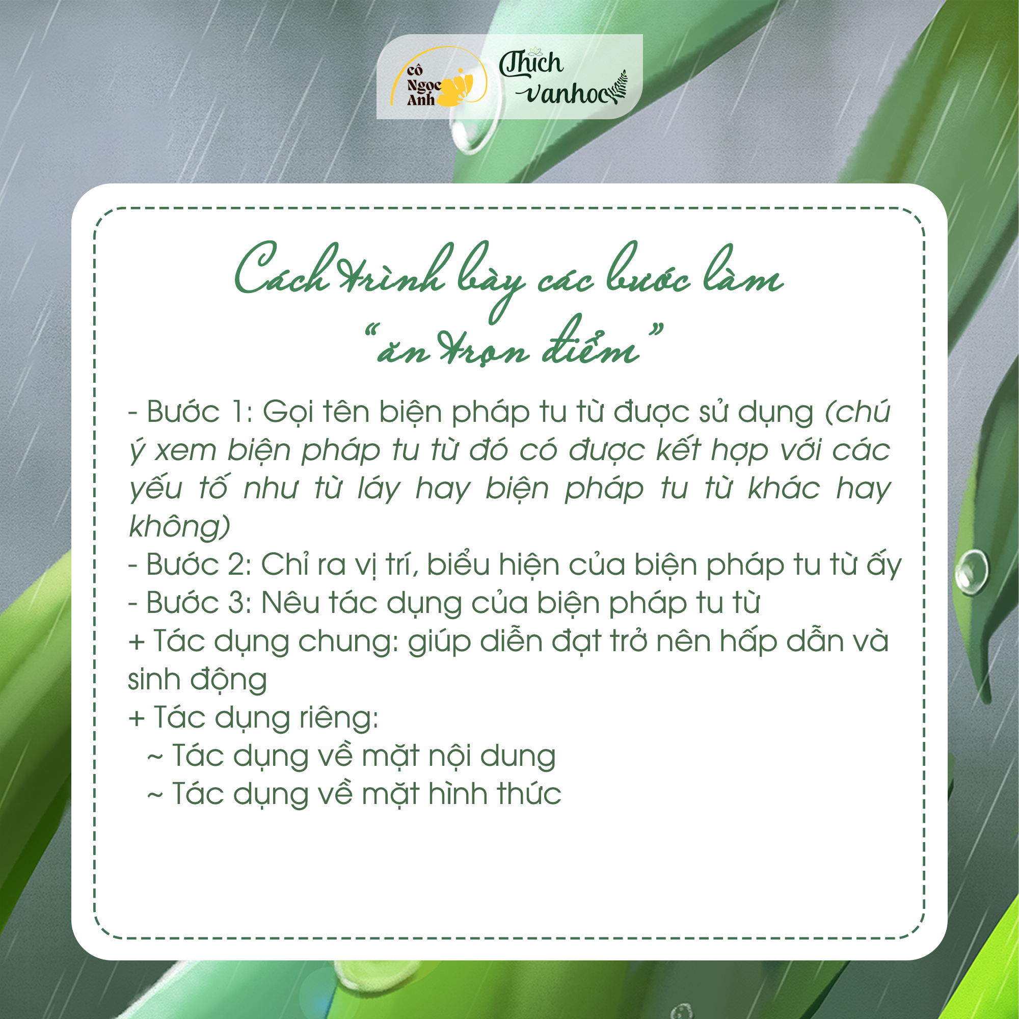 Chỉ ra và nêu tác dụng của Gallery 1