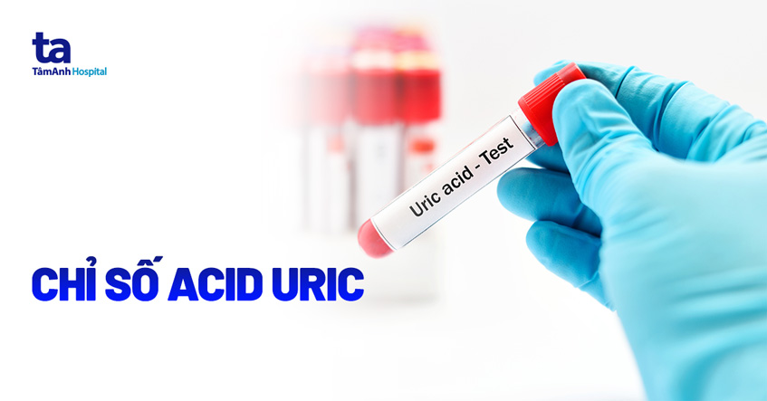 Chỉ số UA trong máu là gì?