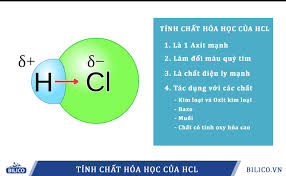 Cu + HCl ra gì? Gallery 1