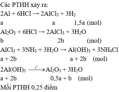 Phản ứng giữa HCl và Al2O3 Gallery 1