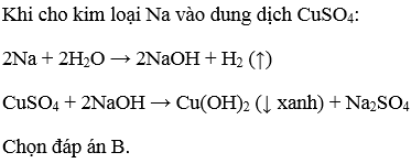 Phản ứng giữa Na và dung dịch CuSO4 Gallery 1