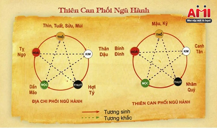 Tuổi Ất Sửu Hợp Với Số Nào? Gallery 1