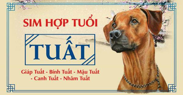 Tuổi Nhâm Tuất Hợp Số Nào? Gallery 1