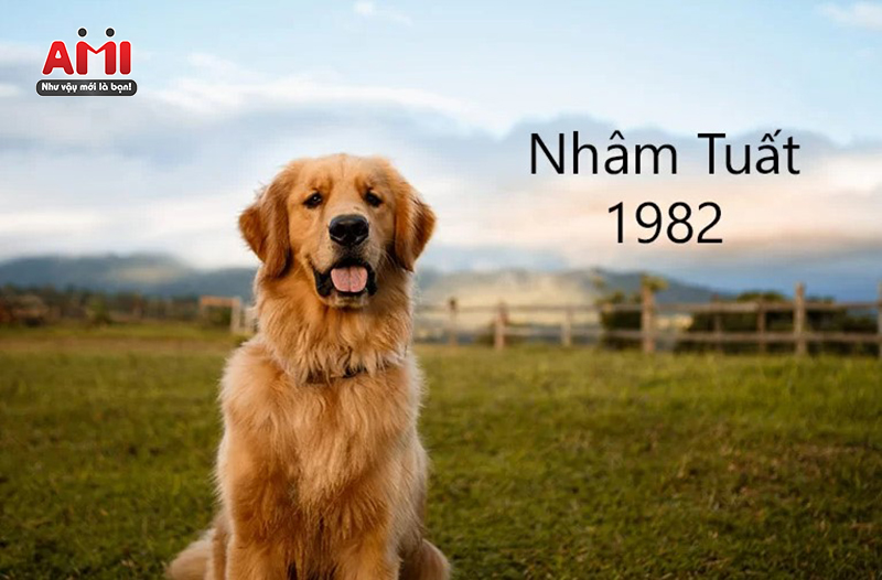 Tuổi Nhâm Tuất Hợp Với Số Nào? Gallery 1