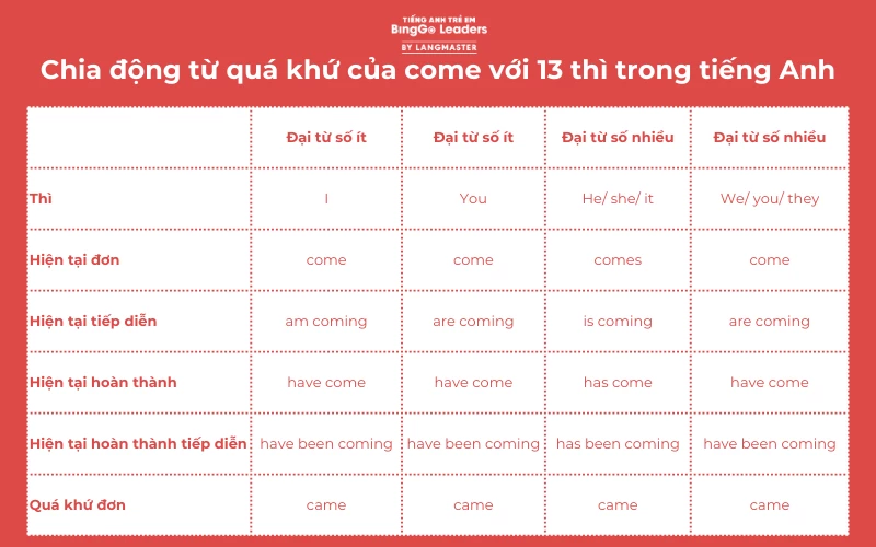 Chia Động Từ Come Gallery 1