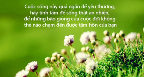 Những Câu Nói Hay Về Sự Yêu Thương Chia Sẻ Gallery 2